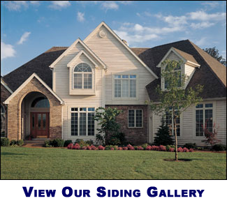 Vinyl Siding